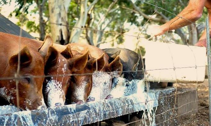 ليندوخ Dairyman'S Cottage المظهر الخارجي الصورة